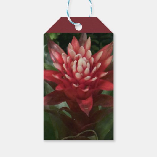 Rode Bloem Gift Labels Cadeaulabel (Voorkant)