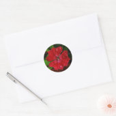  rode bloem met regendruppels Foto Ronde Sticker (Envelop)