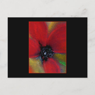 Rode Bloem, papaver. Briefkaart