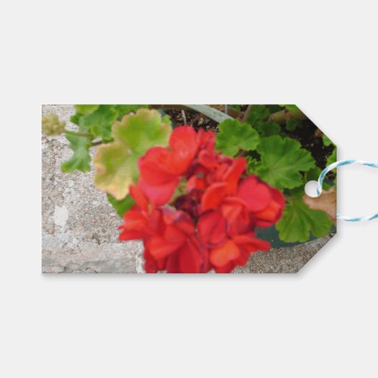 rode bloem tissuepapier cadeaulabel (Voorkant (Horizontaal))