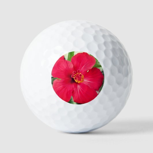 Rode bloem van Hibiscus Rosa-sinensis Golfballen (Voorkant)