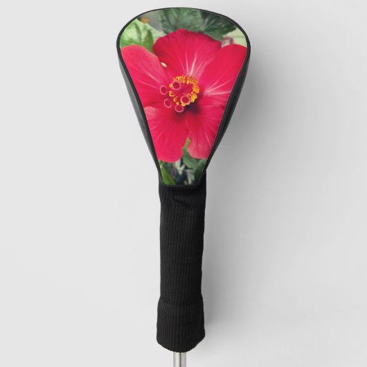 Rode bloem van Hibiscus Rosa-sinensis Golfheadcover (Voorkant)
