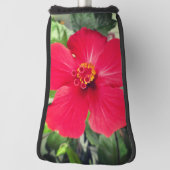 Rode bloem van Hibiscus Rosa-sinensis Golfheadcover (Draai 90)