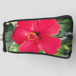 Rode bloem van Hibiscus Rosa-sinensis Golfheadcover