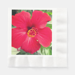 Rode bloem van Hibiscus Rosa-sinensis Servet