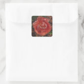 rode bloem vierkante sticker (Tas)