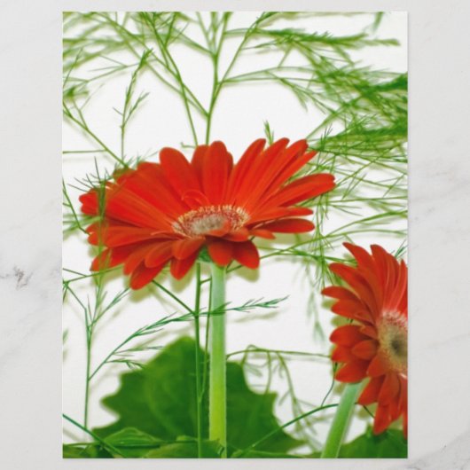 Rode Bloemen (Voorkant)