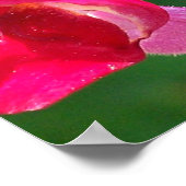 Rode bloemen op zonlicht poster (Hoek)