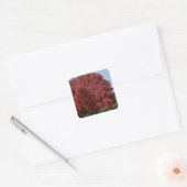 Rode Boom Stickers (Envelop)