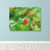 Rode bosaardbei groeit in een tuinfoto canvas afdruk (Insitu (Houten vloer))