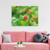 Rode bosaardbei groeit in een tuinfoto canvas afdruk (Insitu (Woonkamer))