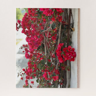 Rode Bougainvillea, Burlingame Legpuzzel
