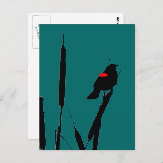 Rode bramen en kattenstaarten briefkaart (Voorkant / Achterkant)