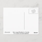 Rode bramen en kattenstaarten briefkaart (Achterkant)