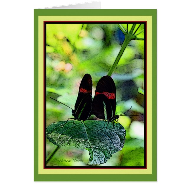 Rode Brievenbesteller: vlinder (Voorkant)