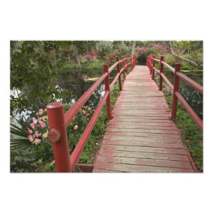Rode brug over vijver, Magnolia Plantation, Foto Afdruk