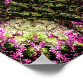 Rode Bud bomen in de bossen..... Poster (Hoek)