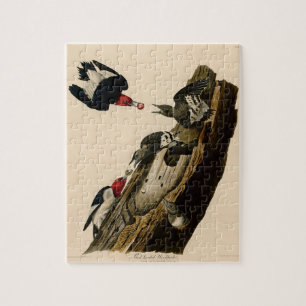  rode buikverf met buisvormige buisjes legpuzzel