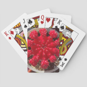 Rode Cactusbloem Top Tuin Pokerkaarten