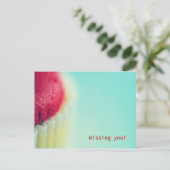 rode cakeek, vermist je! briefkaart (Staand voorkant)