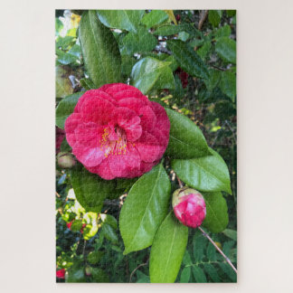 Rode Camellia, Palo Alto Legpuzzel
