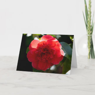 Rode Camellia Prettig Kerstmis Wenskaart Kaart