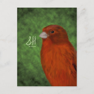 Rode Canarische Briefkaart