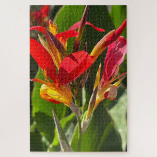 Rode Canna lelie, Oakland Legpuzzel