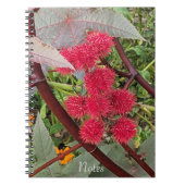 Rode Castor Bean Plant Seed Pods Notitieboek (Voorkant)