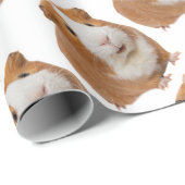 rode cavia cadeaupapier (Rol Hoek)