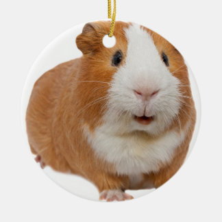 rode cavia keramisch ornament