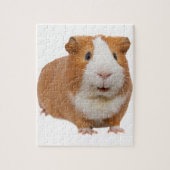 rode cavia legpuzzel (Verticaal)