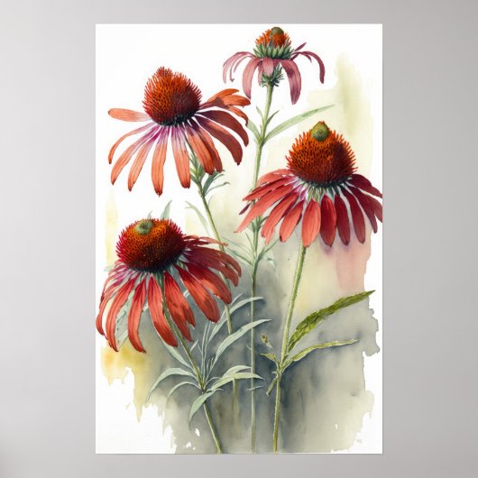 Rode Coneflowers Art Print Poster (Voorkant)