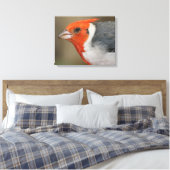 Rode Crested Kardinaal Canvas Afdruk (Insitu (Slaapkamer))
