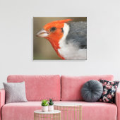 Rode Crested Kardinaal Canvas Afdruk (Insitu (Woonkamer))
