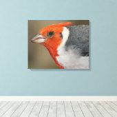 Rode Crested Kardinaal Canvas Afdruk (Insitu (Houten vloer))