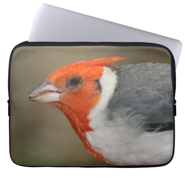 Rode Crested Kardinaal Laptop Sleeve (Voorkant)