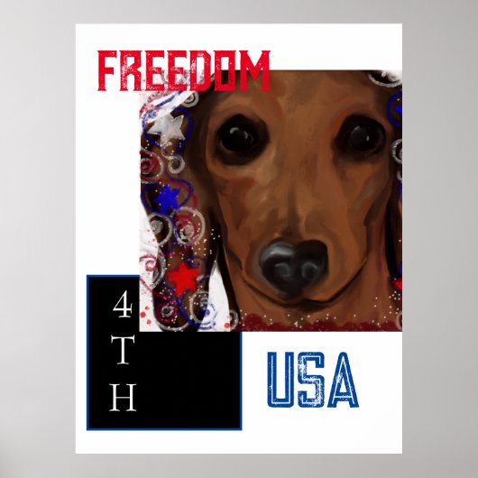 Rode Dachshund Poster (Voorkant)