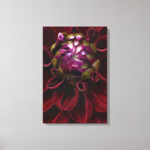 Rode Dahlia Canvas Print
