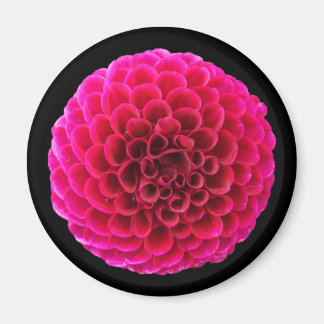 Rode Dahlia Ronde Koelkastmagneet Bloem Cadeau Magneet