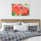 Rode Daisy Bloem Bloemen Kunst Canvas Print (Insitu (Slaapkamer))