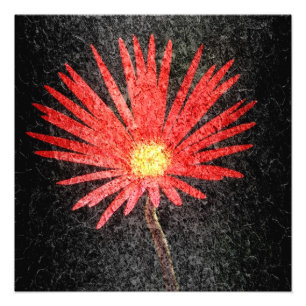 Rode Daisy Flower Painting Foto Afdruk