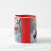 Rode dellicious appels met sneeuw mok (Midden)