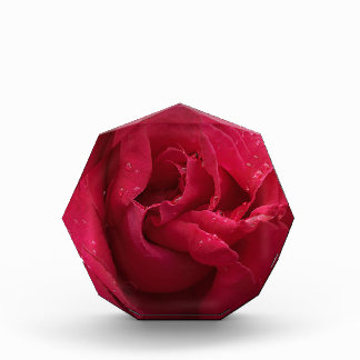 Rode Diamanten Fotoblokken