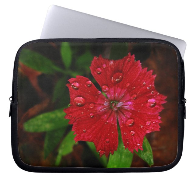 rode dianthus met regendruppels laptop sleeve (Voorkant)