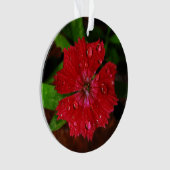 rode dianthus met regendruppels ornament (voorkant)