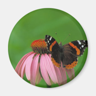 Rode dikke vlinder op Paarse kongventilator Magneet