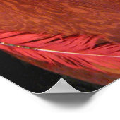 Rode doek poster (Hoek)