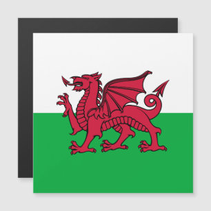 Rode Draak Keltische Vlag van Wales & Welsh