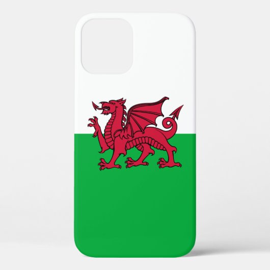 Rode Draak Keltische Vlag van Wales & Welsh Case-Mate iPhone Case (Achterkant)